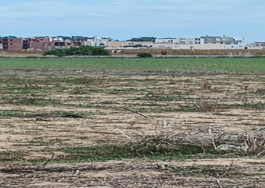 terrain à vendre de 780m² - Bien immobilier à {"id":16,"country_id":219,"name":"NABEUL","slug":"nabeul"} - Image 2 - Victoire Immobilière - Agence Immobilière Victoire Immobilière